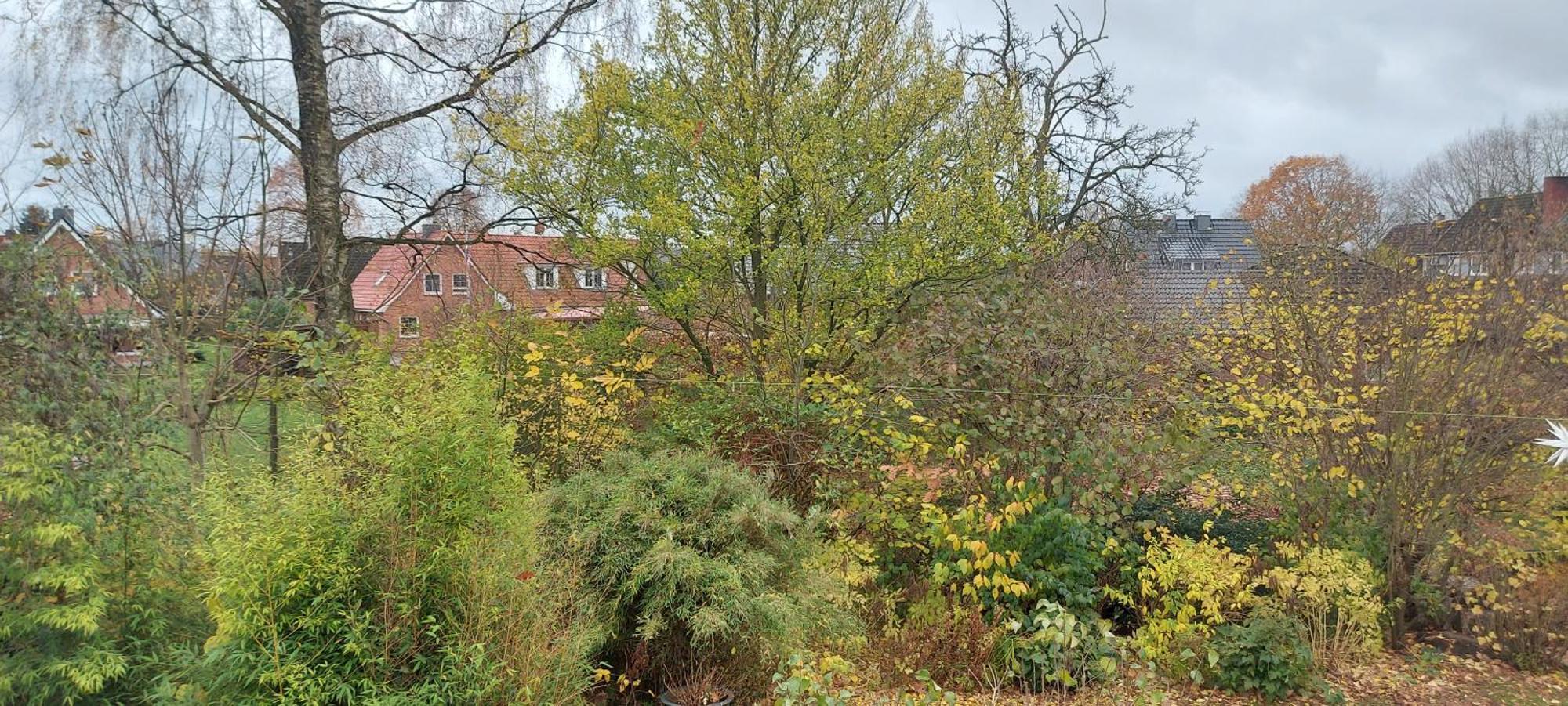 Ferienwohnung Bad Segeberg Exteriör bild